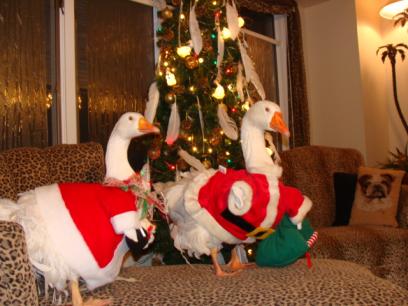 Darlene Healy's Christmas Geese