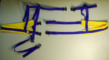blue goat harness yellow 1