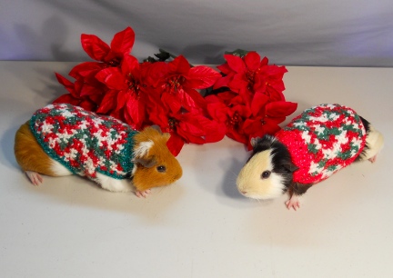 Boys Holiday Sweaters